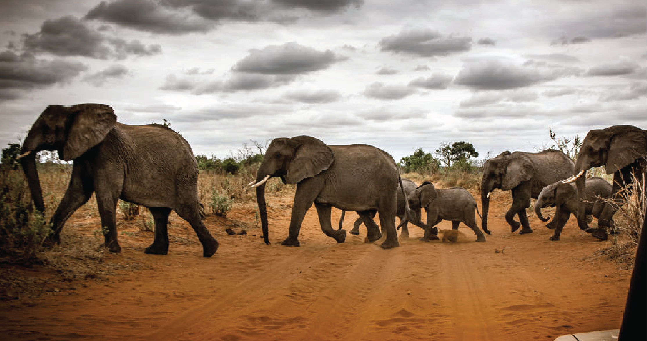 Inland safari tour itenaries