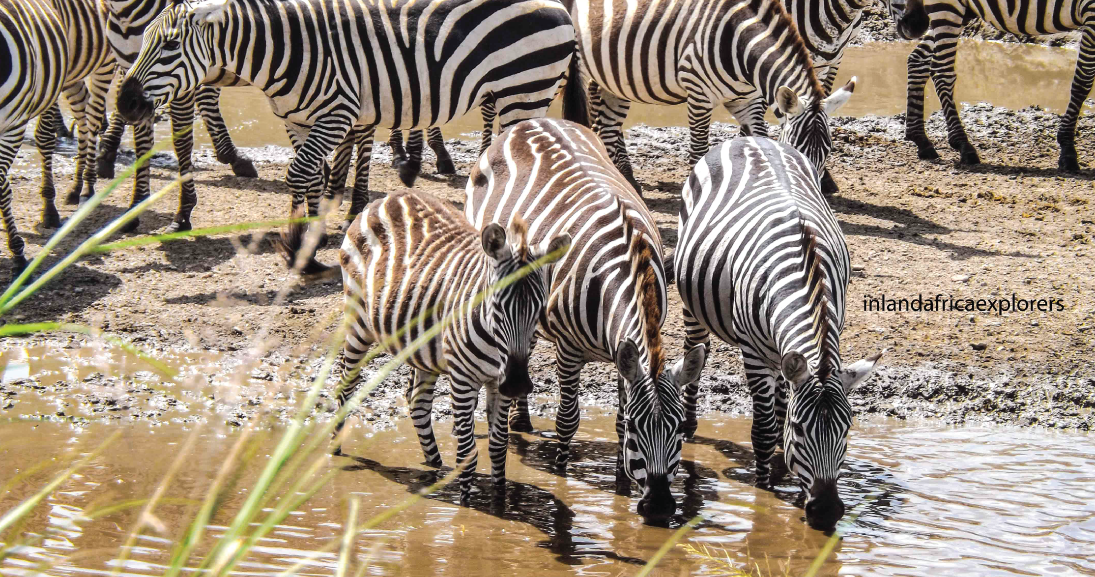 Inland safari tour itenaries