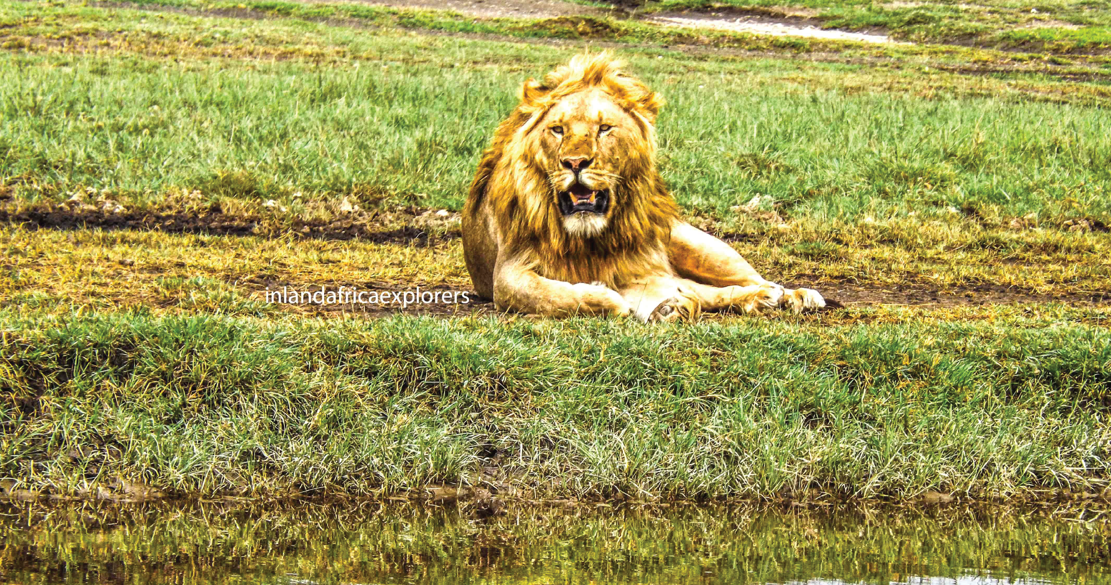 Inland safari tour itenaries